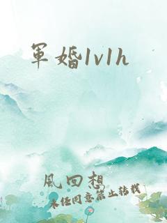 军婚1v1h