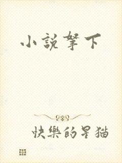 小说拿下