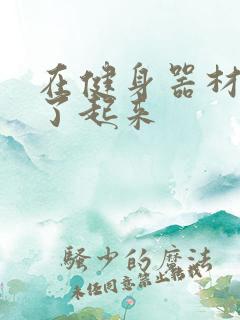 在健身器材上做了起来