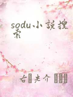 sodu小说搜索