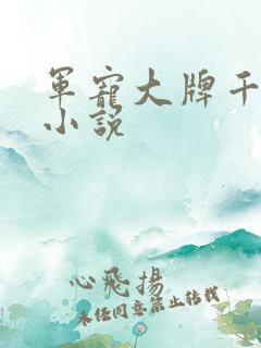 军宠大牌千金 小说