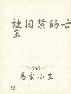 被囚禁的亡国公主