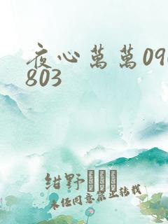 夜心万万090803