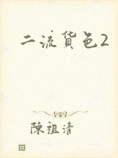 二流货色2