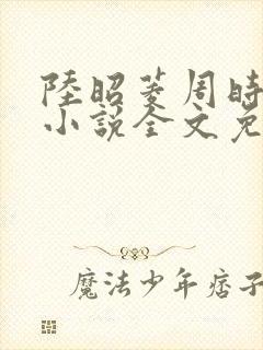 陆昭菱周时阅的小说全文免费阅读