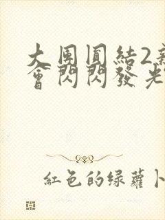 大团圆结2亲情会闪闪发光