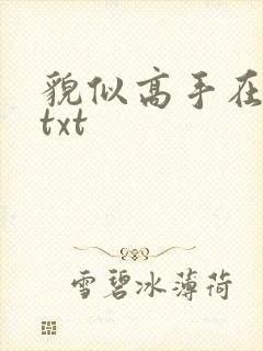 貌似高手在异界txt