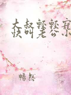 大叔轻轻宠宝贝快叫老公小说