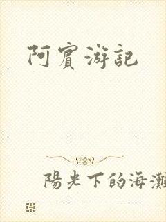 阿宾游记