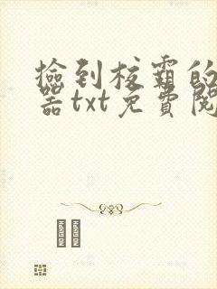 捡到校霸的遥控器txt免费阅读