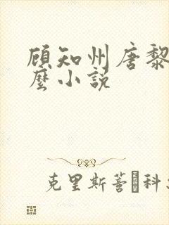 顾知州唐黎叫什么小说