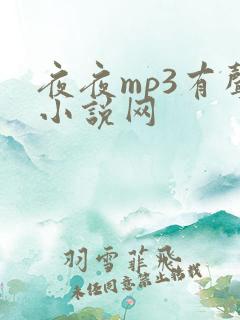 夜夜mp3有声小说网