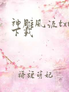 神雕风流txt下载