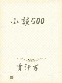 小说500
