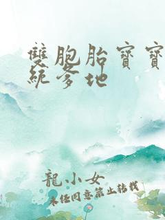 双胞胎宝宝的总统爹地