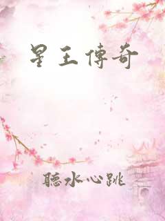 星王传奇