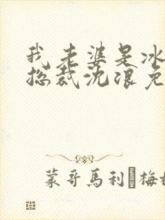 我老婆是冰山女总裁沈浪免费阅读