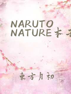 NARUTO NATURE本子