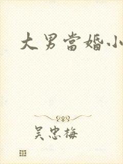 大男当婚小说