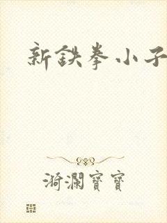新铁拳小子
