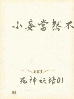 小妾当然不如妻