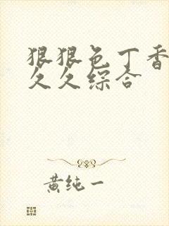 狠狠色丁香婷婷久久综合