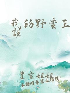 我的野蛮王妃小说