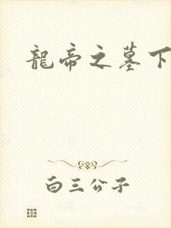 龙帝之墓下载