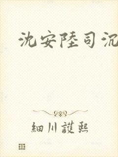 沈安陆司沉小说