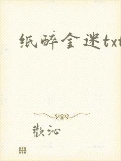 纸醉金迷txt