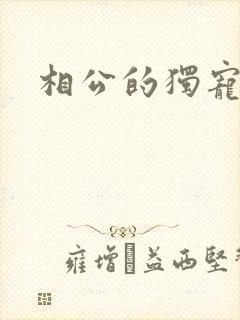 相公的独宠妻子