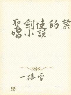 圣剑使的禁咒咏唱小说