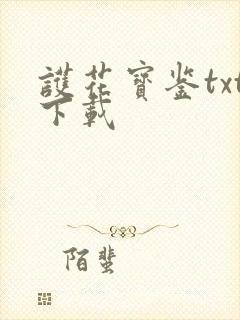 护花宝鉴txt下载