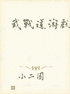 武战道游戏