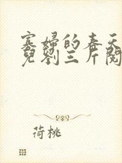 寡妇的春天白花儿刘三斤阅读