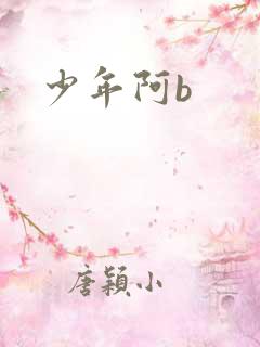 少年阿b