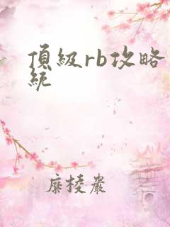 顶级rb攻略系统