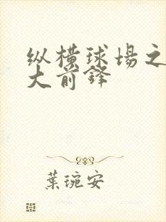 纵横球场之暴力大前锋