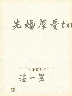 先婚厚爱txt