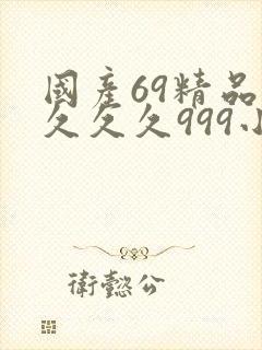 国产69精品久久久久999小说