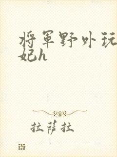 将军野外玩弄贵妃h