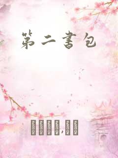 第二书包