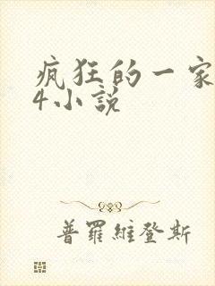 疯狂的一家PS4小说