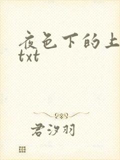 夜色下的上海滩txt
