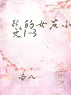 我的女友小洁全文1-3