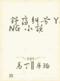 舒窈纠兮 YING 小说