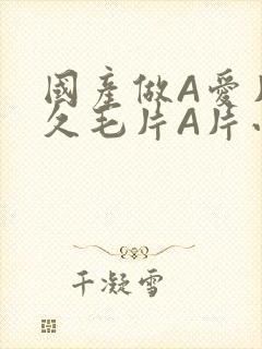 国产做A爱片久久毛片A片小说