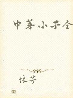 中华小子全集
