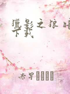 猎影之狼 暗夜下载