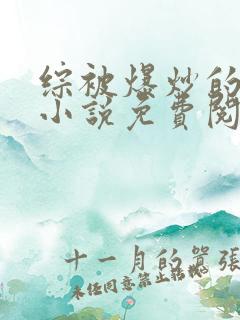 综被爆炒的日常小说免费阅读